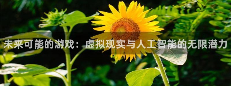 杜邦娱乐平台登录线路：未来可能的游戏：虚拟现实与人工智能的无