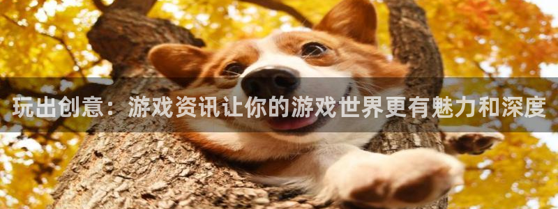 杜邦娱乐网页登录入口官网：玩出创意：游戏资讯让你的游戏世界更