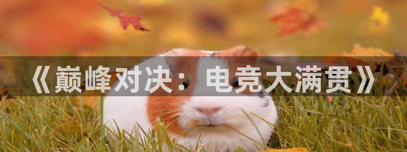 杜邦娱乐网页版地址：《巅峰对决：电竞大满贯》