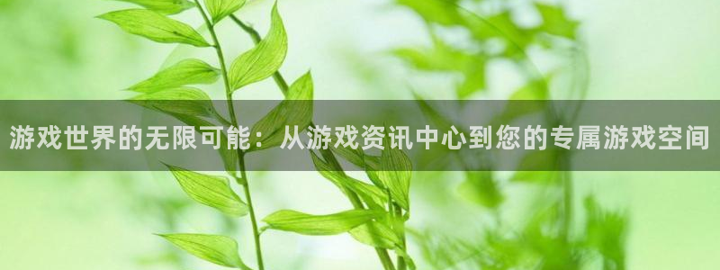 杜邦娱乐4主管：游戏世界的无限可能：从游戏资讯中心到您的专属