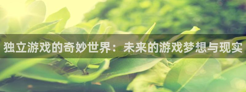 杜邦娱乐网址注册：独立游戏的奇妙世界：未来的游戏梦想与现实