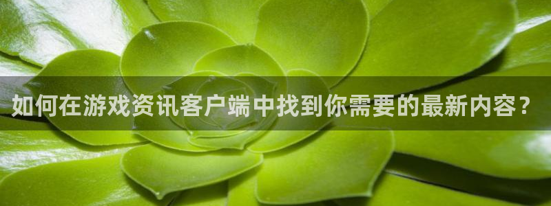 杜邦娱乐注册登录：如何在游戏资讯客户端中找到你需要的最新内容