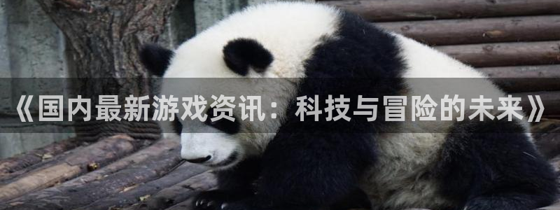 杜邦娱乐登录网址：《国内最新游戏资讯：科技与冒险的未来》