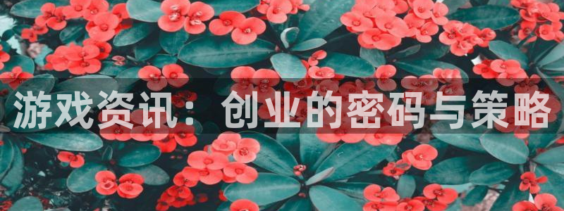 杜邦娱乐官方注册登录：游戏资讯：创业的密码与策略