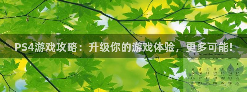 杜邦娱乐登录地址：PS4游戏攻略：升级你的游戏体验，更多可能