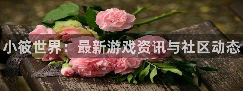 杜邦娱乐平台：小筱世界：最新游戏资讯与社区动态
