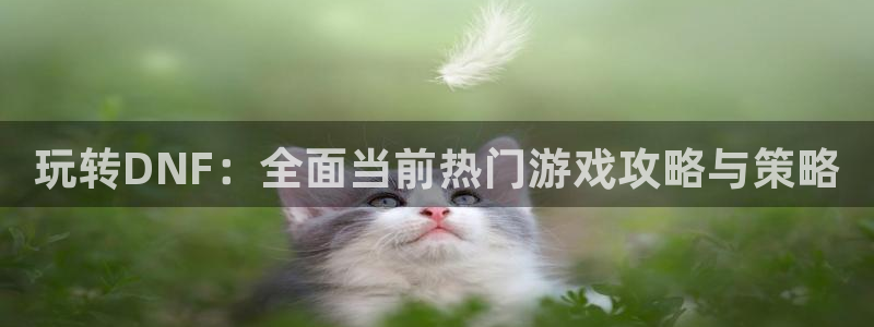 杜邦娱乐注册服务条款：玩转DNF：全面当前热门游戏攻略与策略