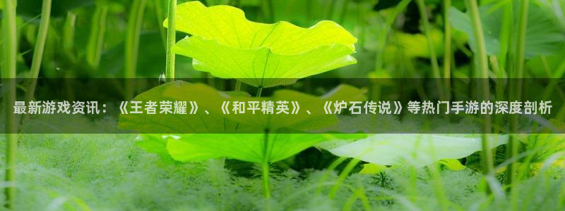 杜邦娱乐平台负责人